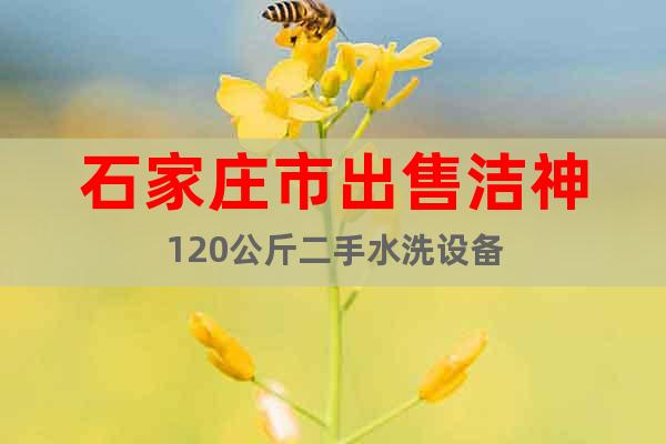 石家莊市出售潔神120公斤二手水洗設(shè)備