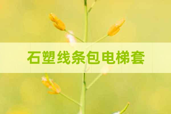 石塑線條包電梯套