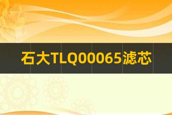 石大TLQ00065濾芯