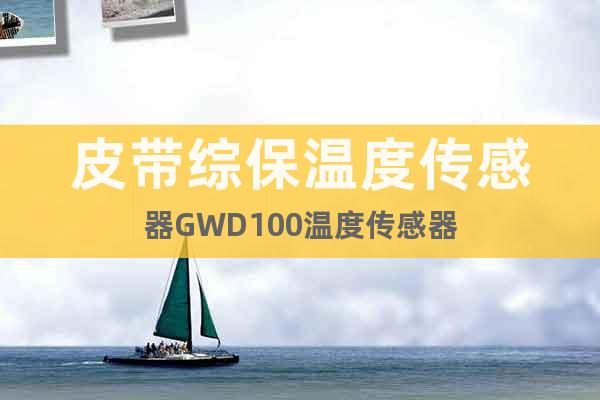 皮带综保温度传感器GWD100温度传感器