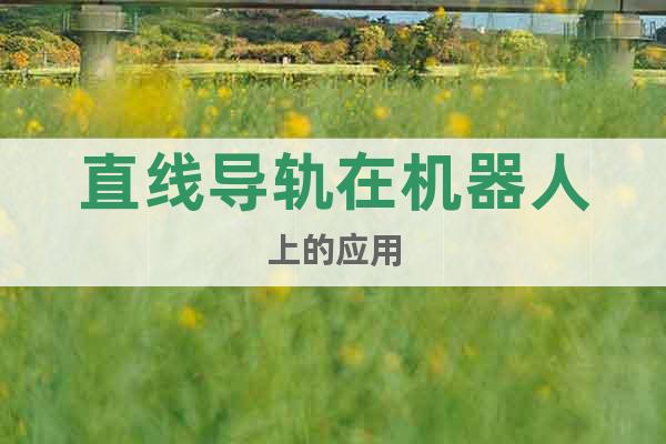 直線導(dǎo)軌在機(jī)器人上的應(yīng)用