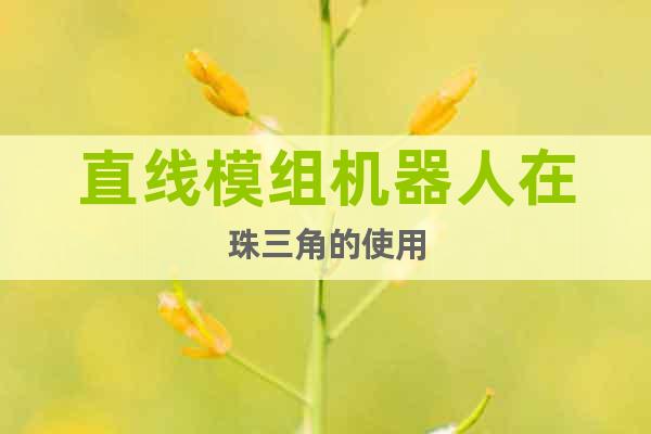 直線模組機(jī)器人在珠三角的使用