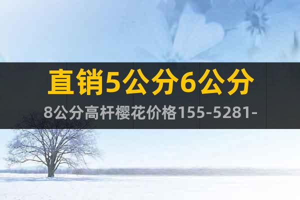 直銷5公分6公分8公分高桿櫻花價格155-5281-2989
