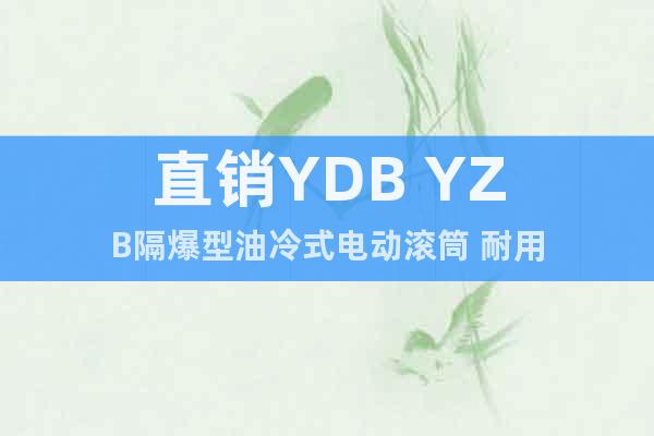 直销YDB YZB隔爆型油冷式电动滚筒 耐用