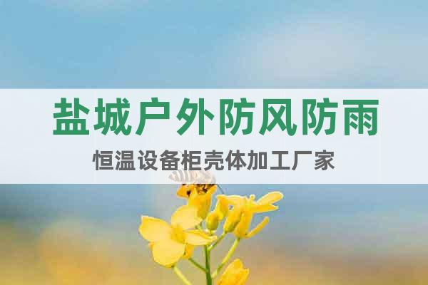 鹽城戶外防風(fēng)防雨恒溫設(shè)備柜殼體加工廠家