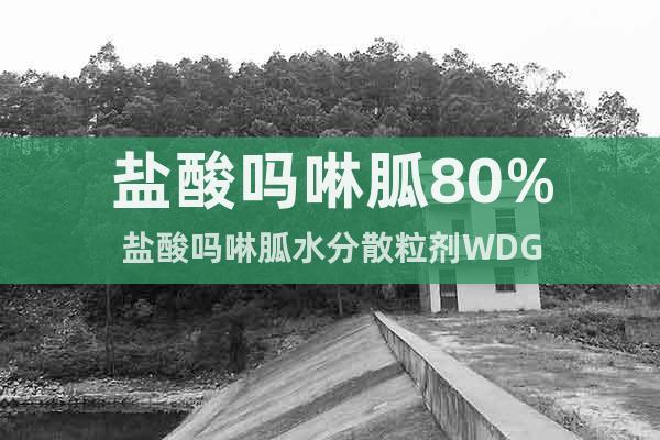 鹽酸嗎啉胍80%鹽酸嗎啉胍水分散粒劑WDG