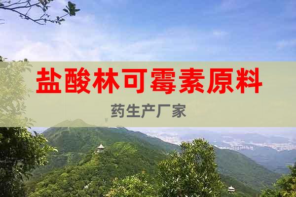 鹽酸林可霉素原料藥生產(chǎn)廠家