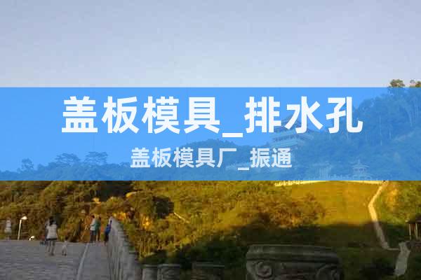 蓋板模具_(dá)排水孔蓋板模具廠_振通