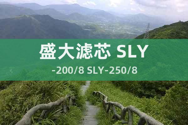 盛大濾芯 SLY-200/8 SLY-250/8