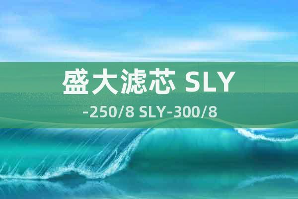 盛大滤芯 SLY-250/8 SLY-300/8