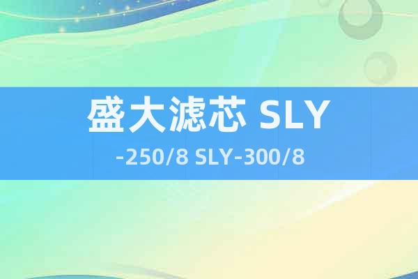 盛大濾芯 SLY-250/8 SLY-300/8