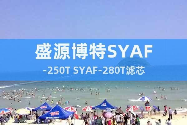 盛源博特SYAF-250T SYAF-280T滤芯