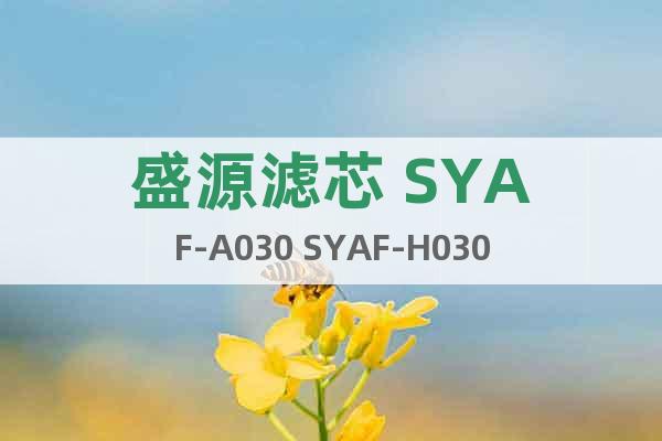 盛源濾芯 SYAF-A030 SYAF-H030