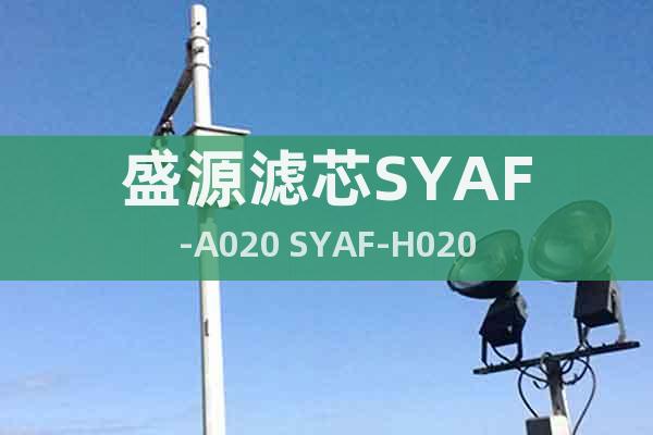 盛源濾芯SYAF-A020 SYAF-H020