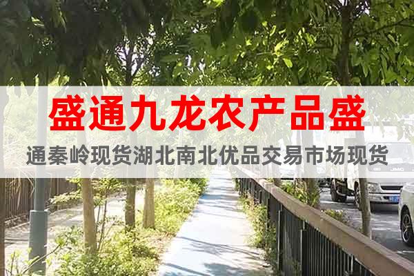 盛通九龍農(nóng)產(chǎn)品盛通秦嶺現(xiàn)貨湖北南北優(yōu)品交易市場(chǎng)現(xiàn)貨