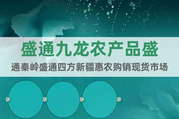 盛通九龍農(nóng)產(chǎn)品盛通秦嶺盛通四方新疆惠農(nóng)購(gòu)銷現(xiàn)貨市場(chǎng)