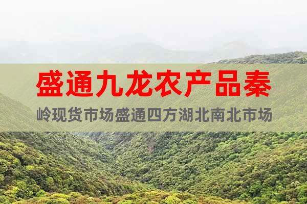 盛通九龍農(nóng)產(chǎn)品秦嶺現(xiàn)貨市場盛通四方湖北南北市場