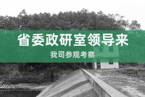 省委政研室領導來我司參觀考察