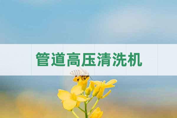 管道高壓清洗機(jī)