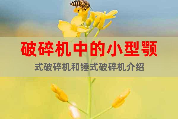 破碎機(jī)中的小型顎式破碎機(jī)和錘式破碎機(jī)介紹