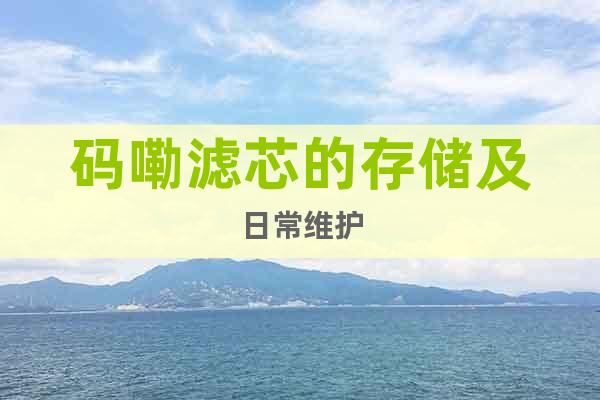 碼嘞濾芯的存儲及日常維護