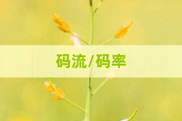 碼流/碼率
