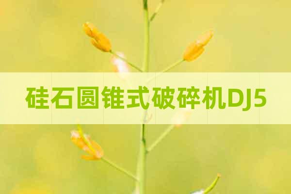 硅石圓錐式破碎機DJ5