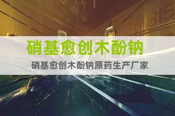 硝基愈創(chuàng)木酚鈉   硝基愈創(chuàng)木酚鈉原藥生產(chǎn)廠家