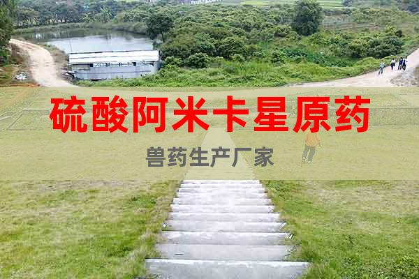 硫酸阿米卡星原藥獸藥生產(chǎn)廠家