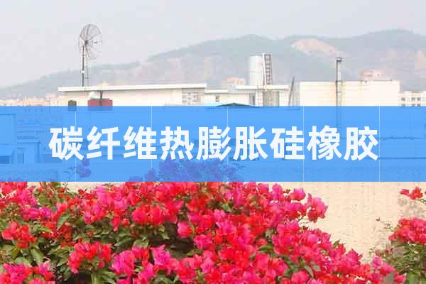 碳纖維預(yù)浸料“硅橡膠芯模熱膨脹成型工藝”