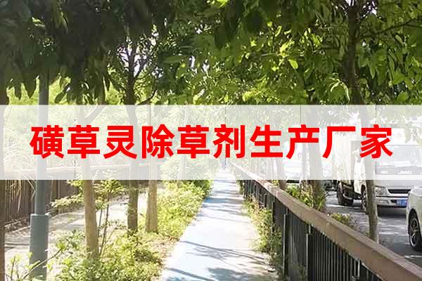 磺草靈除草劑生產(chǎn)廠家