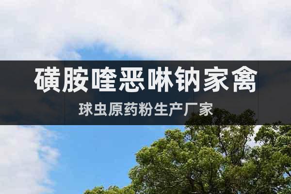 磺胺喹惡啉鈉家禽球蟲原藥粉生產(chǎn)廠家