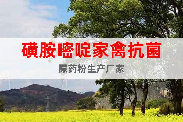 磺胺嘧啶家禽抗菌原藥粉生產(chǎn)廠家