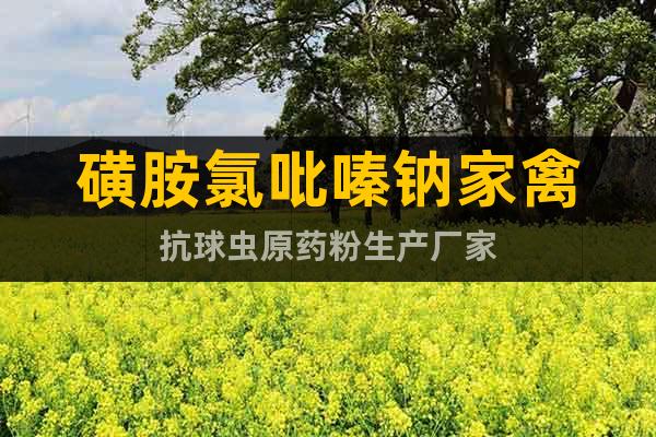 磺胺氯吡嗪鈉家禽抗球蟲原藥粉生產(chǎn)廠家