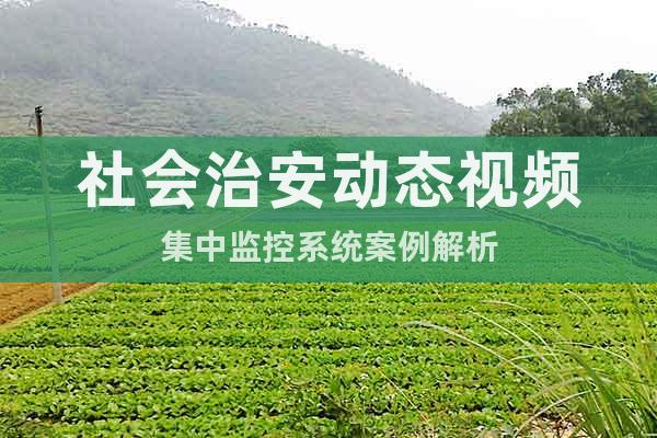 社會(huì)治安動(dòng)態(tài)視頻集中監(jiān)控系統(tǒng)案例解析