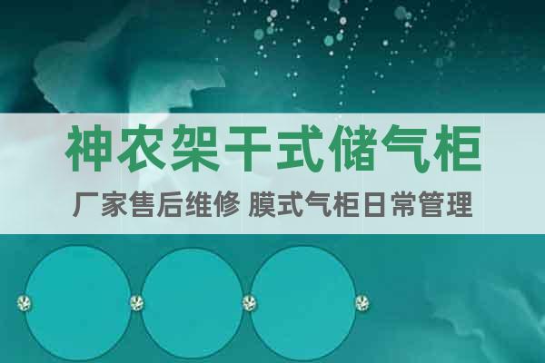 神農(nóng)架干式儲氣柜廠家售后維修 膜式氣柜日常管理