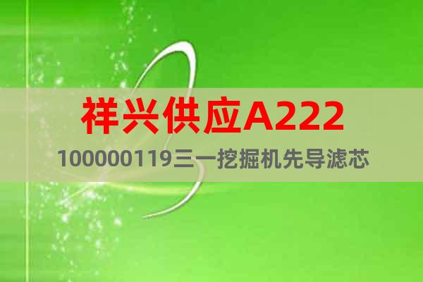 祥興供應(yīng)A222100000119三一挖掘機先導(dǎo)濾芯