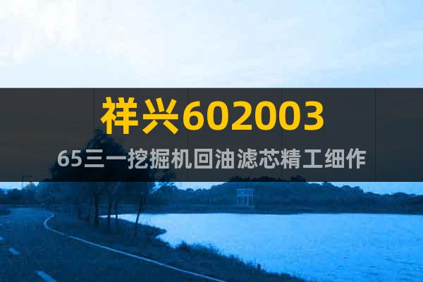 祥興60200365三一挖掘機(jī)回油濾芯精工細(xì)作