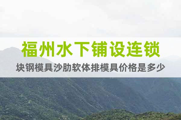 福州水下鋪設連鎖塊鋼模具沙肋軟體排模具價格是多少