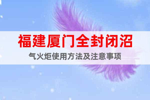 福建廈門全封閉沼氣火炬使用方法及注意事項(xiàng)
