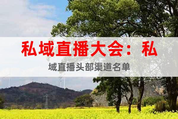 私域直播大會：私域直播頭部渠道名單