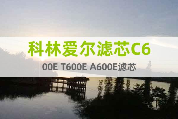 科林愛爾濾芯C600E T600E A600E濾芯
