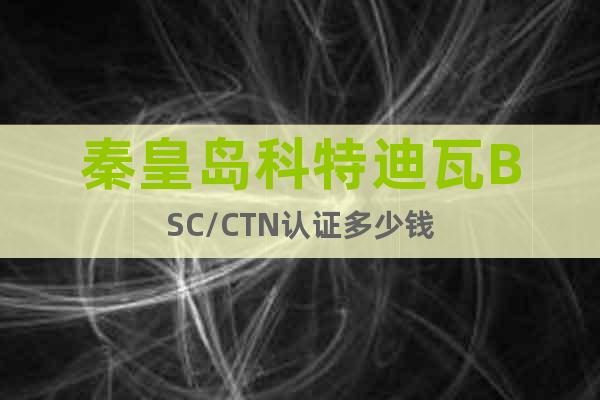 秦皇岛科特迪瓦BSC/CTN认证多少钱