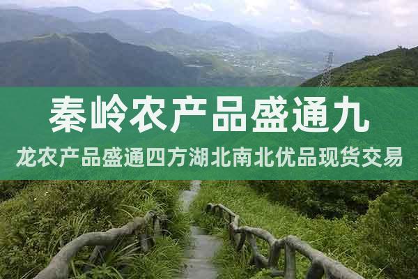 秦嶺農(nóng)產(chǎn)品盛通九龍農(nóng)產(chǎn)品盛通四方湖北南北優(yōu)品現(xiàn)貨交易技巧
