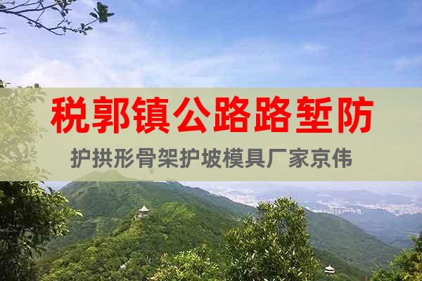 稅郭鎮(zhèn)公路路塹防護拱形骨架護坡模具廠家京偉