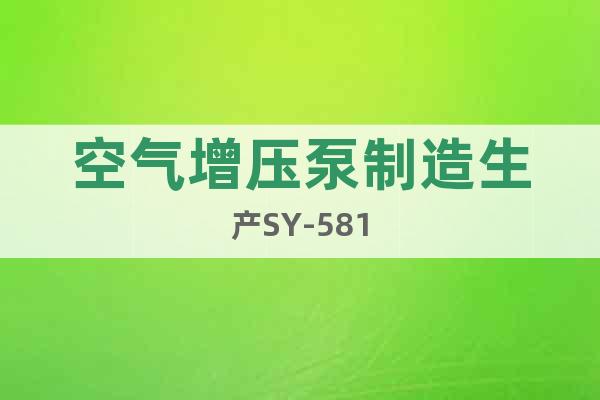 空氣增壓泵制造生產(chǎn)SY-581