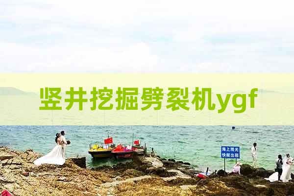 豎井挖掘劈裂機ygf