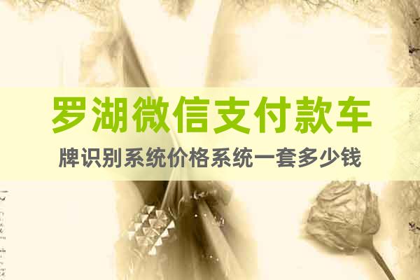 羅湖微信支付款車牌識別系統(tǒng)價格系統(tǒng)一套多少錢