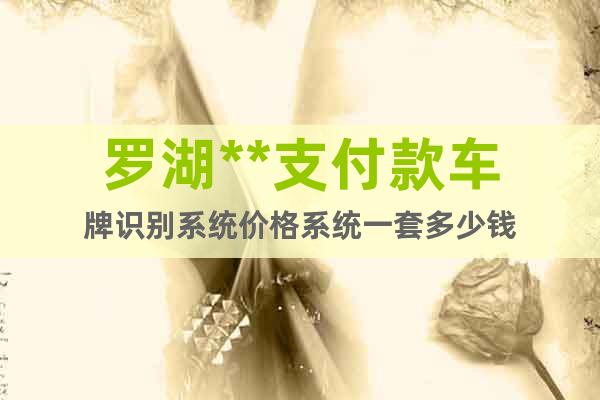 羅湖**支付款車牌識別系統(tǒng)價(jià)格系統(tǒng)一套多少錢