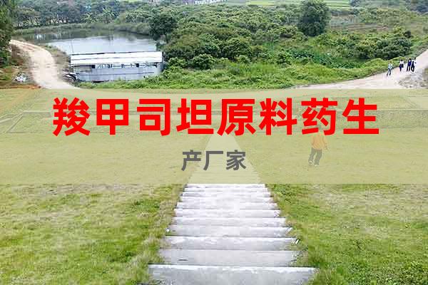 羧甲司坦原料藥生產(chǎn)廠家